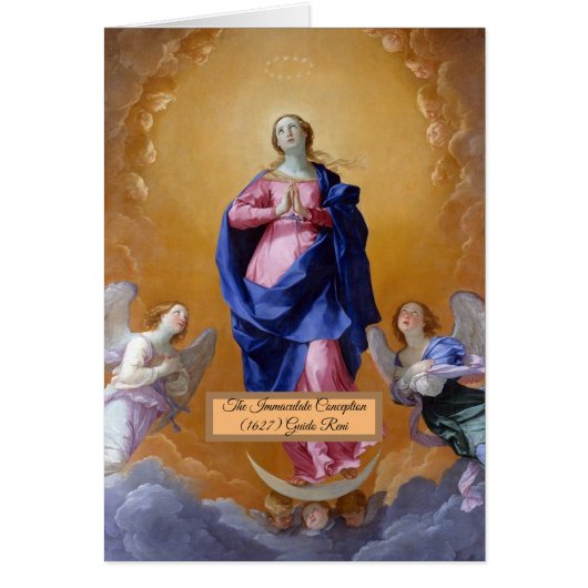 無斑概念 (正面)