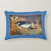 無斑概念 アクセントクッション (正面)