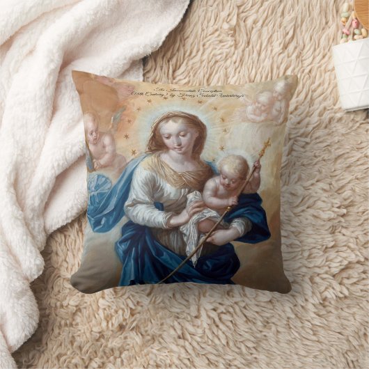 無斑概念 クッション (ブランケット)