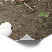 無料のガーデン格言 ポスター (角)