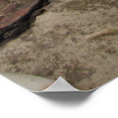 無料のガーデン格言 ポスター (角)