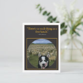 無料の昼食 ポストカード (スタンド正面)