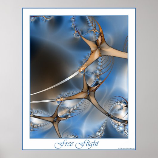 無料の飛行用ポスター ポスター (正面)