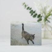 無料はがき好き ポストカード (スタンド正面)