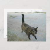 無料はがき好き ポストカード (正面/裏面)