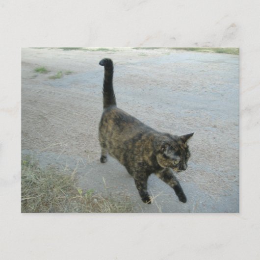 無料はがき好き ポストカード (正面)