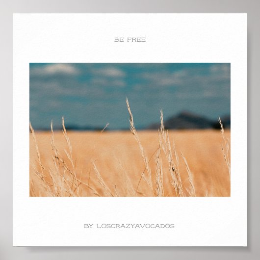 無料サバンナ黄金の草アフリカのポスター ポスター (正面)