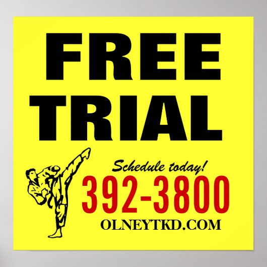 無料トライアル空手ポスター ポスター (正面)
