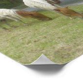 無料気にポニーのポスター ポスター (角)