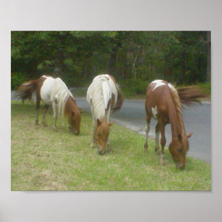 無料気にポニーのポスター ポスター