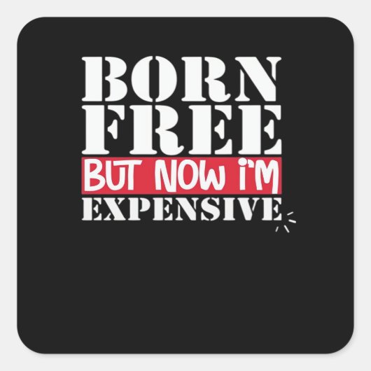 無料生まれだが、今は高価な、アメリカの独立 スクエアシール (正面)