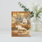 無料生まれでは、野生生物の美しい：ホワイトホース –  ポストカード (スタンド正面)