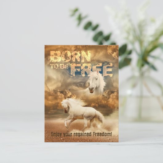 無料生まれでは、野生生物の美しい:ホワイトホース – ポストカード (スタンド正面)
