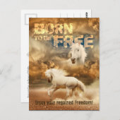 無料生まれでは、野生生物の美しい:ホワイトホース – ポストカード (正面/裏面)