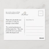 無料生まれでは、野生生物の美しい：ホワイトホース –  ポストカード (裏面)