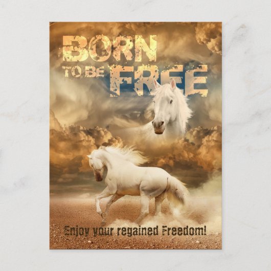 無料生まれでは、野生生物の美しい:ホワイトホース – ポストカード (正面)