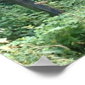 無料範囲の子の署名、おもしろい ポスター (角)