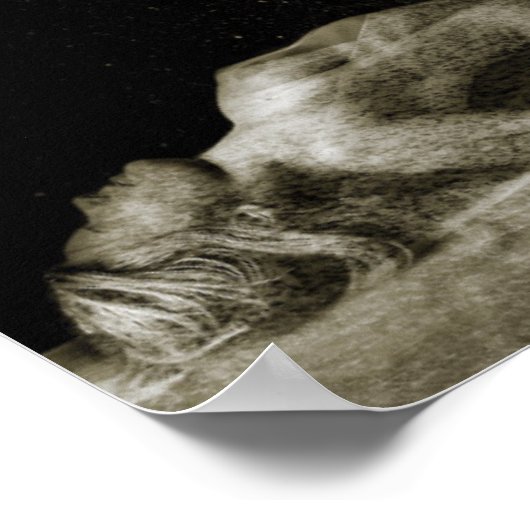 無料2013 ポスター (角)