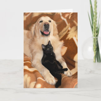 無条件の友情の友達犬&猫 カード