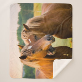 無条件の愛 シェルパブランケット