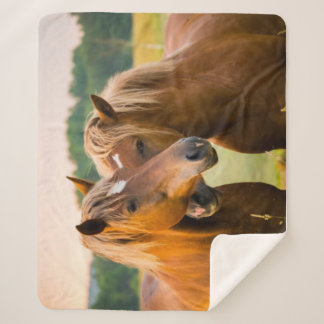 無条件の愛 シェルパブランケット