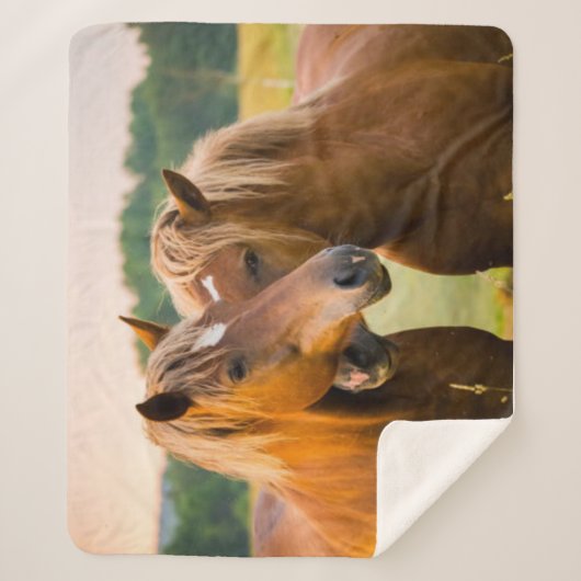 無条件の愛 シェルパブランケット (正面)