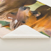 無条件の愛 シェルパブランケット (3/4)