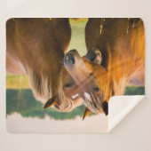 無条件の愛 シェルパブランケット (正面(横))