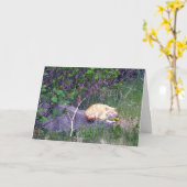 無条件グリーティングカード カード (黄色い花)