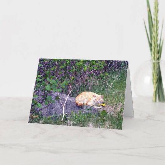 無条件グリーティングカード カード (正面)