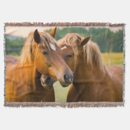 無条件ラブシェルパブランケット スローブランケット