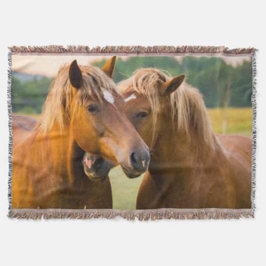 無条件ラブシェルパブランケット スローブランケット (正面)