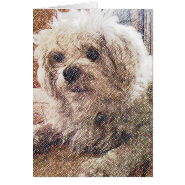 無条件愛 (正面)