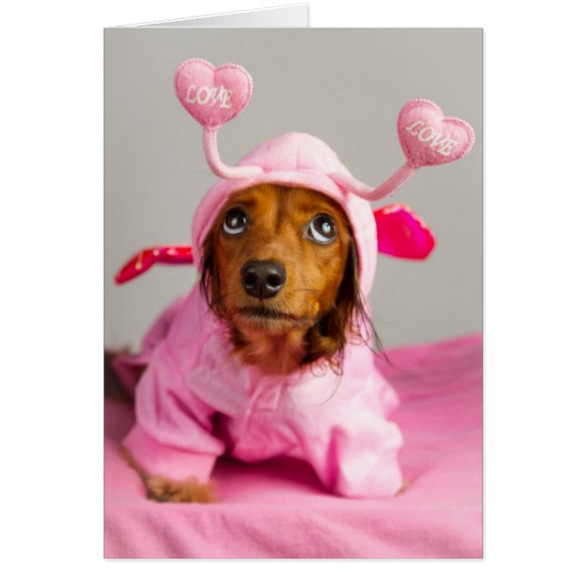 無条件愛 (正面)