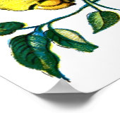 無毛虫 ポスター (角)