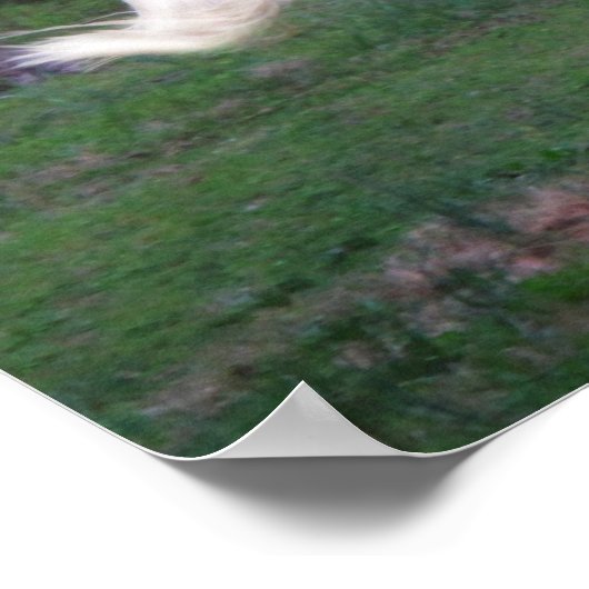 無気に料 ポスター (角)