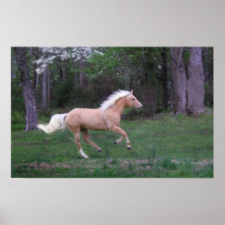 無気に料 ポスター