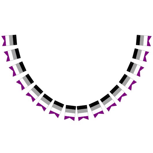 無熱性プライド国旗のバナー バンティングフラッグ (全)