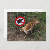 無知は至福だ ポストカード (正面/裏面)