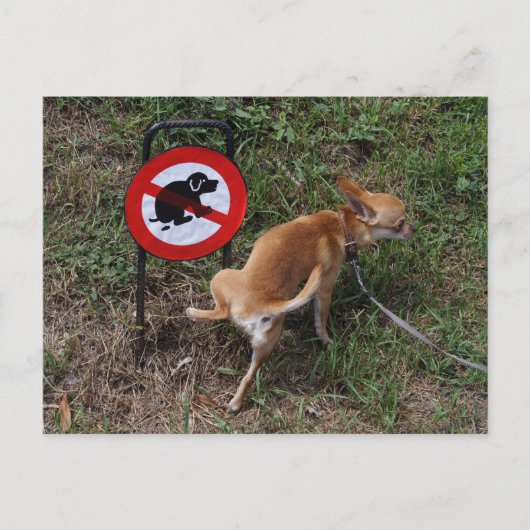 無知は至福だ ポストカード (正面)