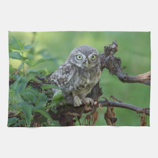 無神経症 キッチンタオル (横)