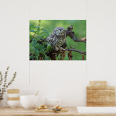 無神経症 ポスター (キッチン)