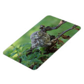 無神経症 マグネット (左側)