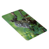 無神経症 マグネット (右側)