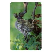 無神経症 マグネット (縦)