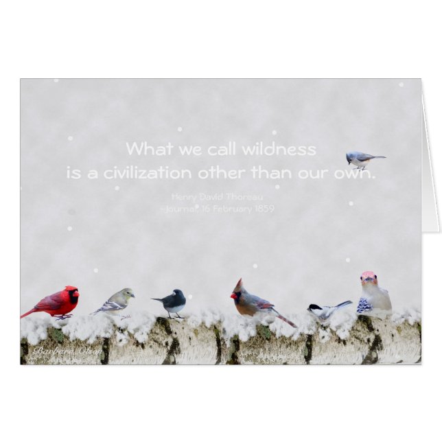 無謀さ: 私達のown~Thoreau以外の文明 (正面横)