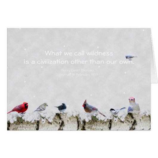 無謀さ: 私達のown~Thoreau以外の文明 (正面横)