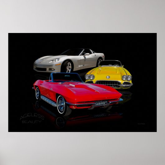 無謀な大騒ぎ ポスター (正面)