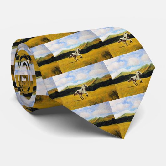 無走料 ネクタイ (ロール)