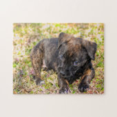 無邪気な小犬 ジグソーパズル (横)
